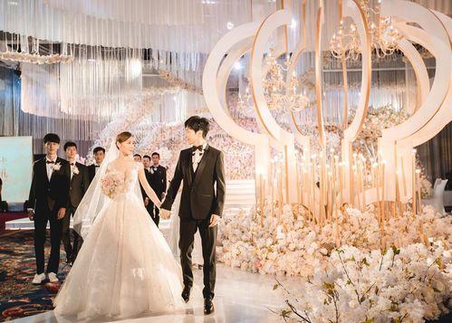 爆料视频背景素材,素材背后的秘密大起底