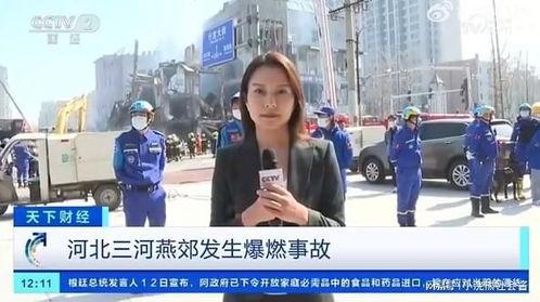 德国记者爆料视频大全最新,最新爆料视频大全震撼来袭！